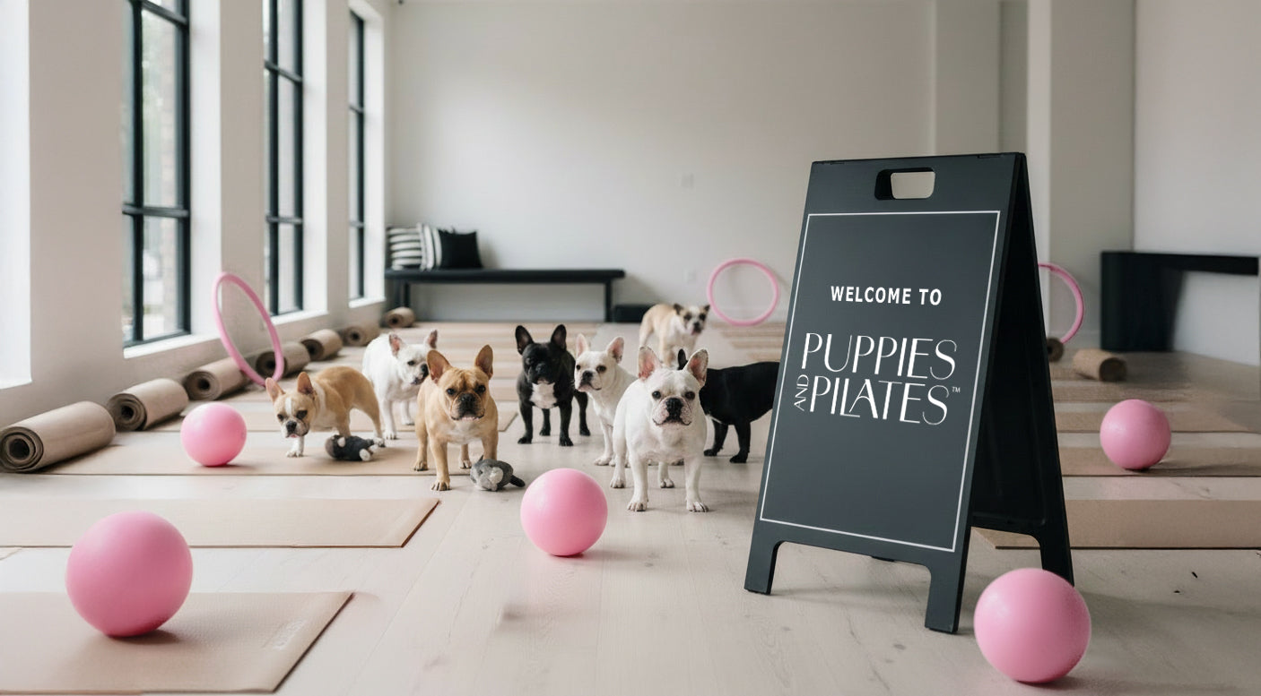 Puppies and Pilates Launches Premium Wellness Experience Across the DMV