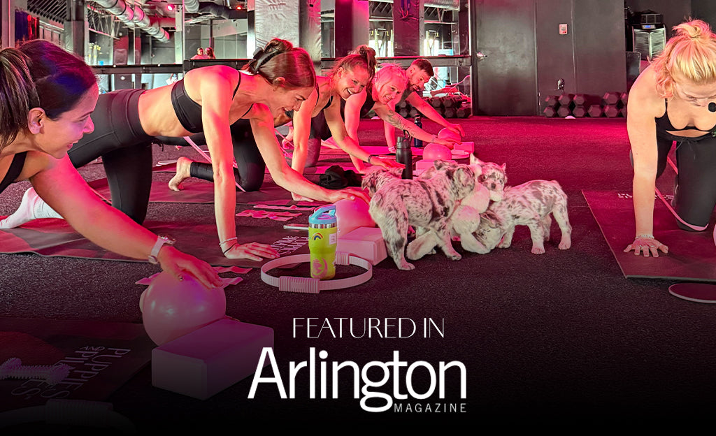 Puppies and Pilates Comes to Arlington