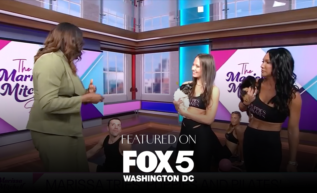 Marissa Mitchell from Fox5 tries 'Puppies and Pilates'