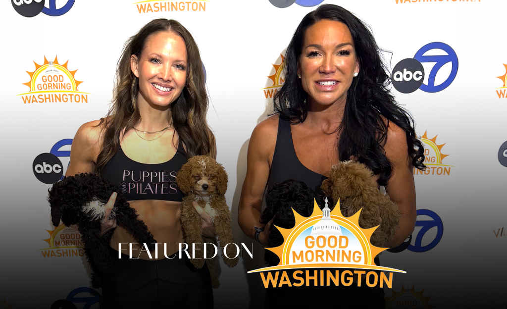 Puppies and Pilates featured on Good Morning Washington