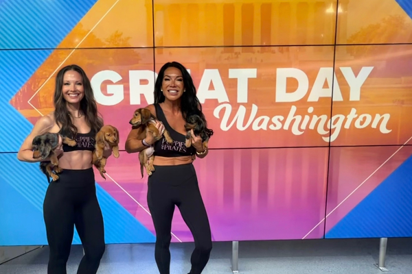 Puppies and Pilates on Great Day Washington