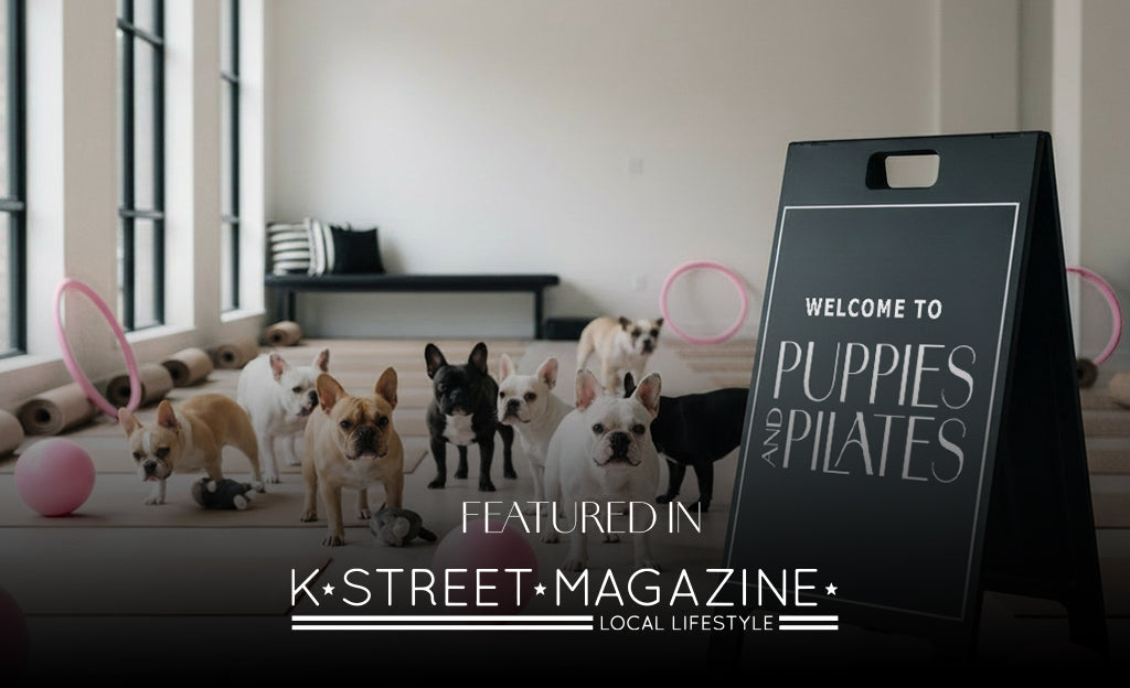 Pilates Just Got Playful… with Puppies!