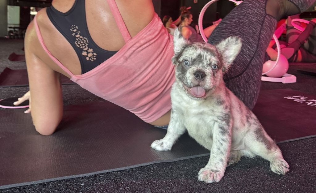"New to Pilates? These Beginner Exercises Make It Easy to Start