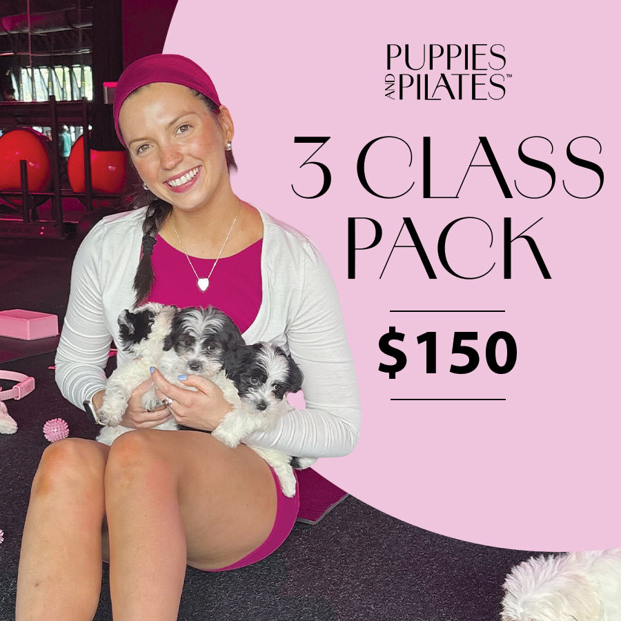 3 Class Pack