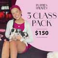 3 Class Pack