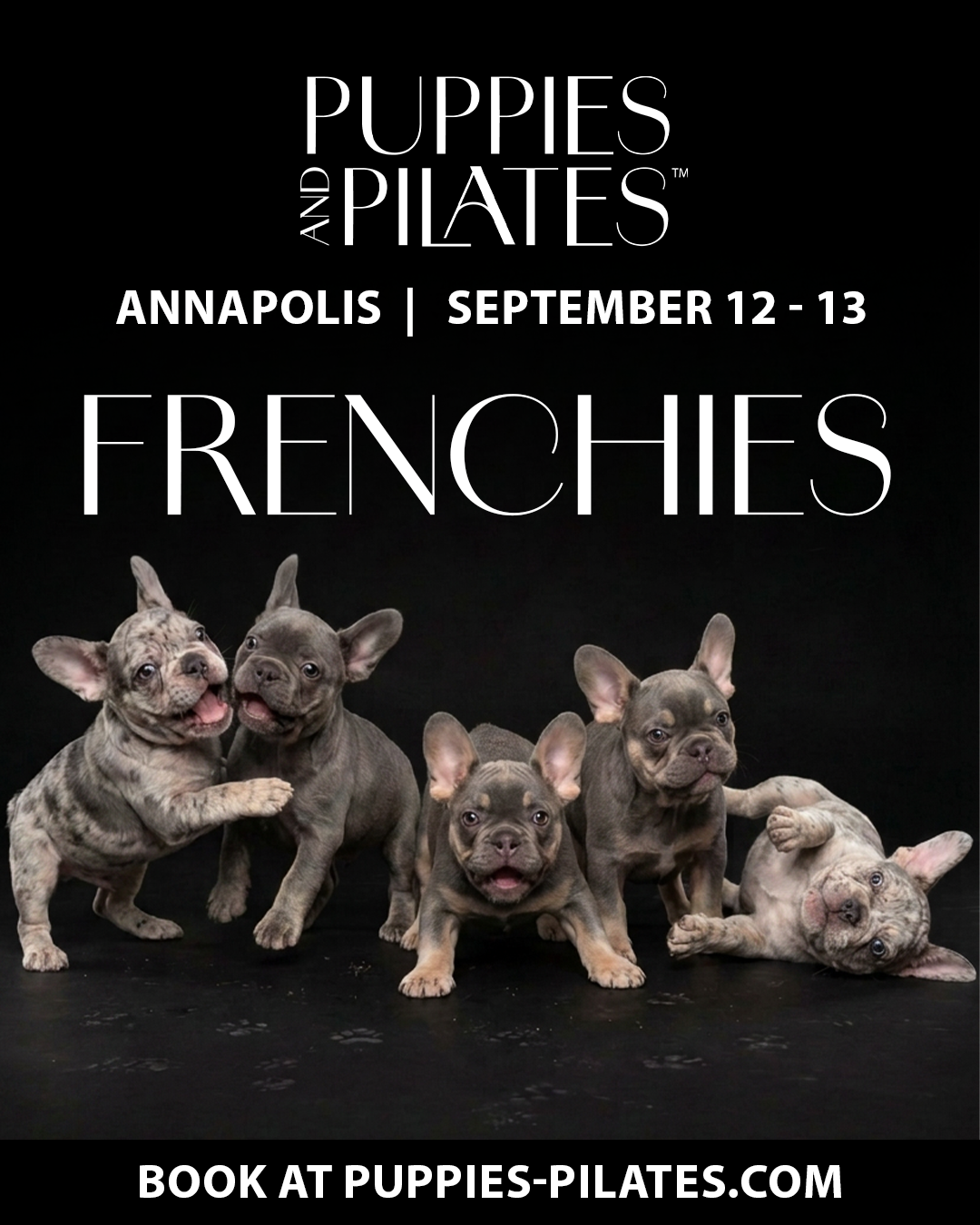 Puppies and Pilates - Annapolis MD