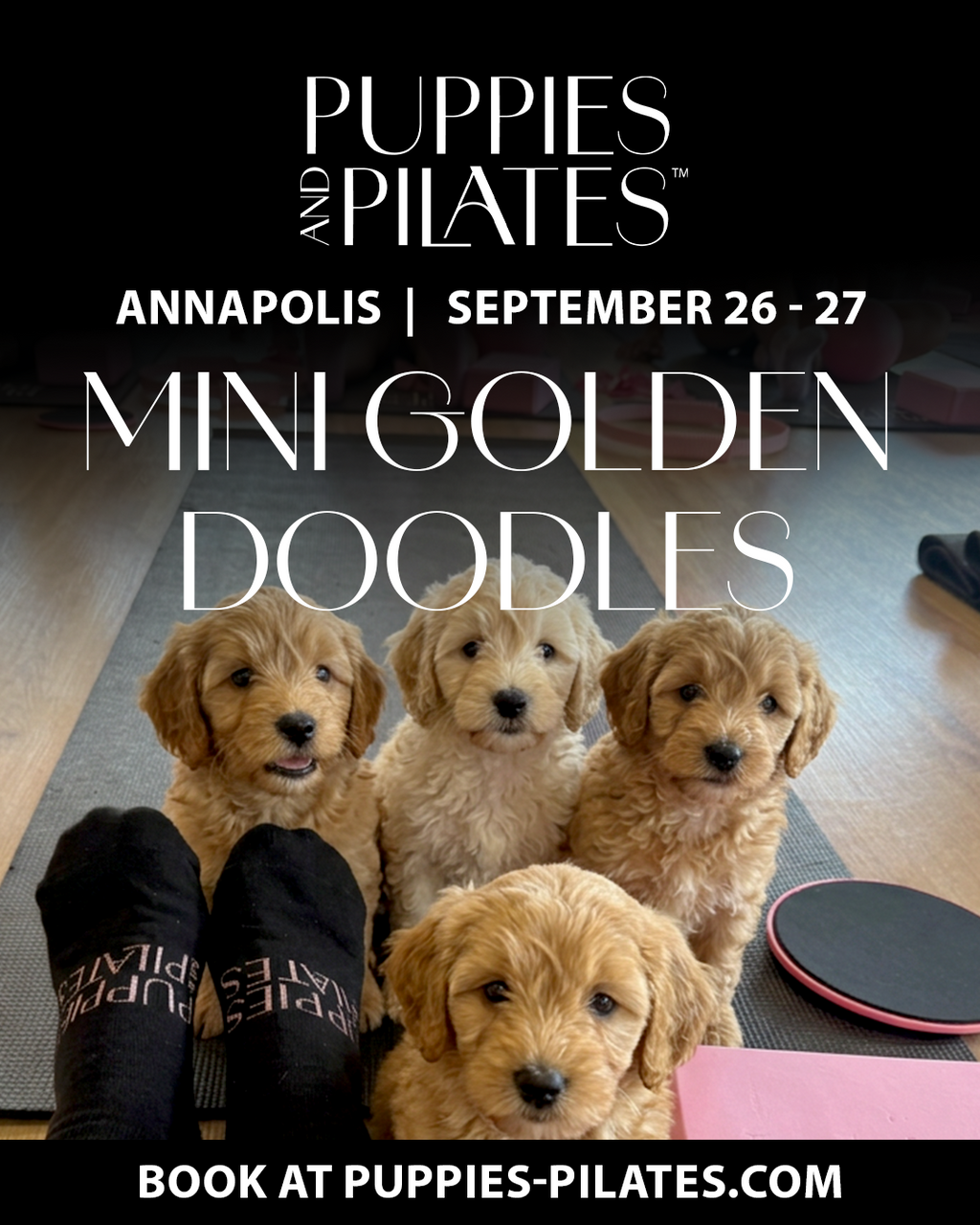 Puppies and Pilates - Annapolis MD