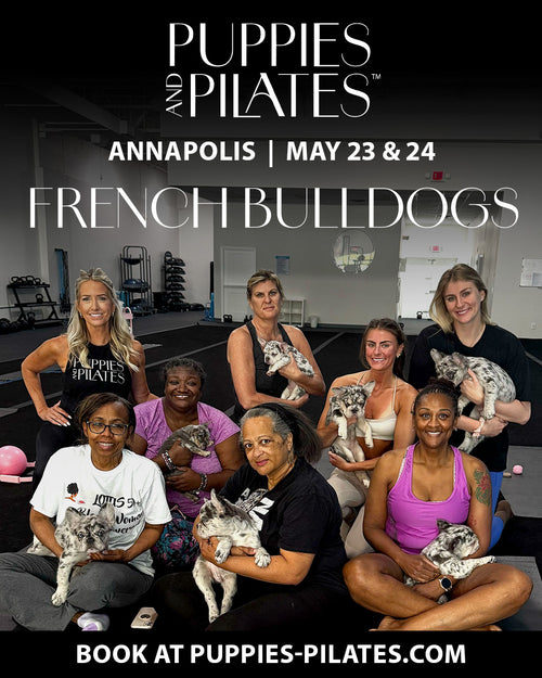 Puppies and Pilates - Annapolis MD