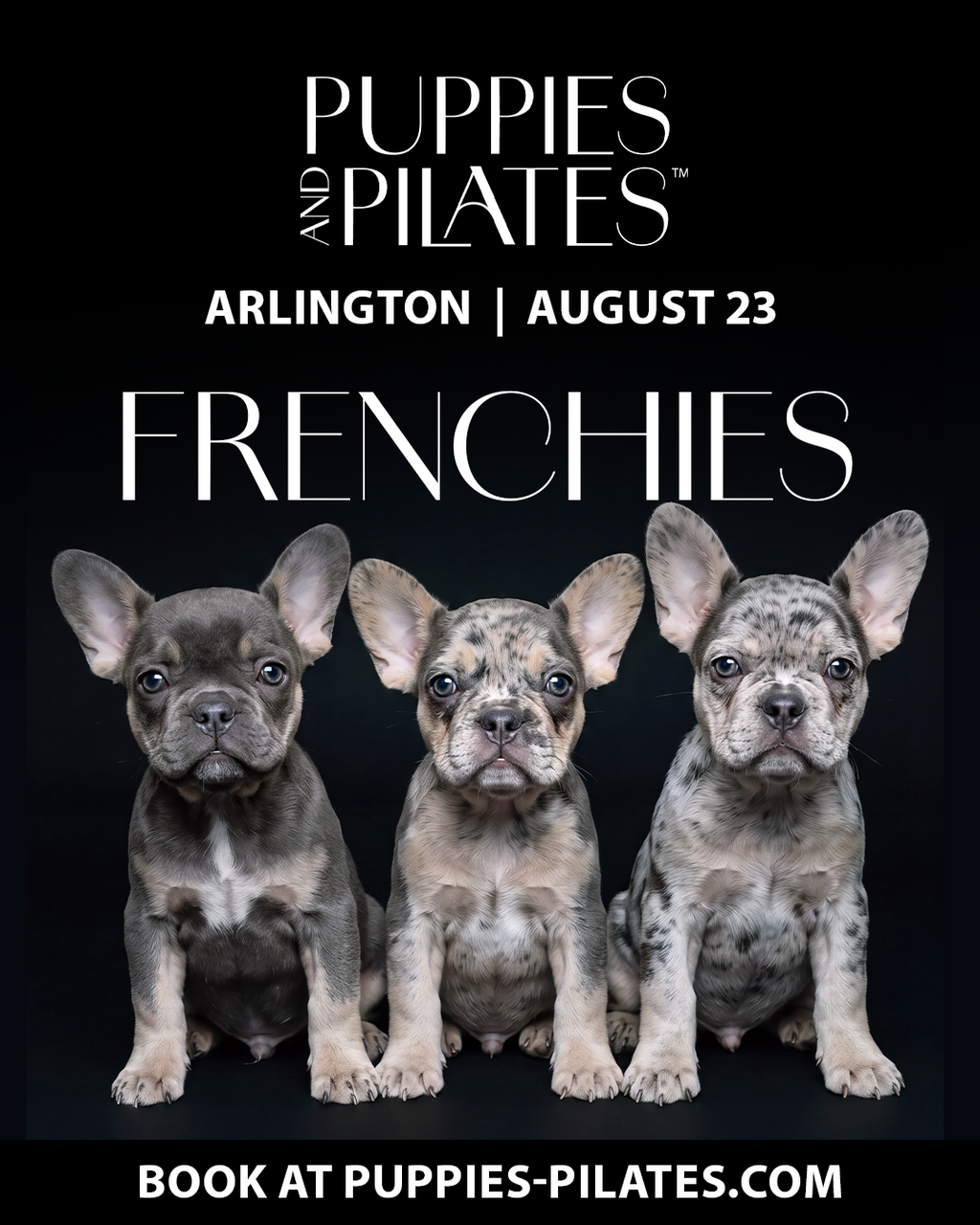 Puppies and Pilates - Arlington VA