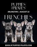 Puppies and Pilates - Arlington VA