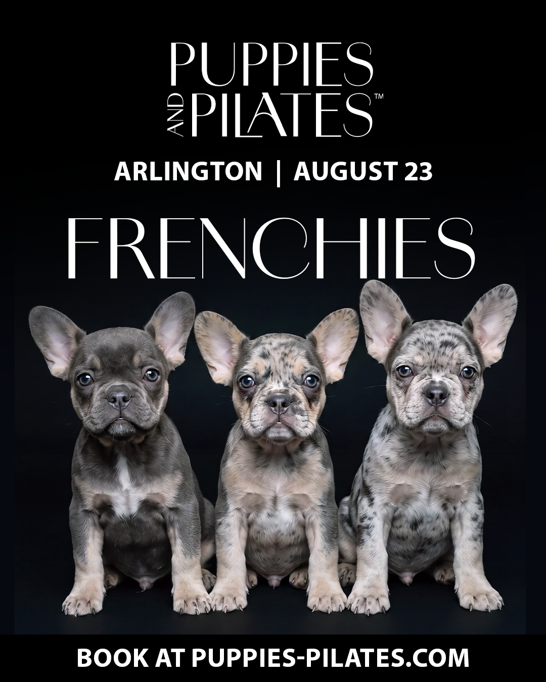 Puppies and Pilates - Arlington VA