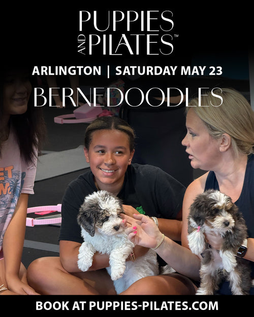 Puppies and Pilates™ - Arlington VA Location
