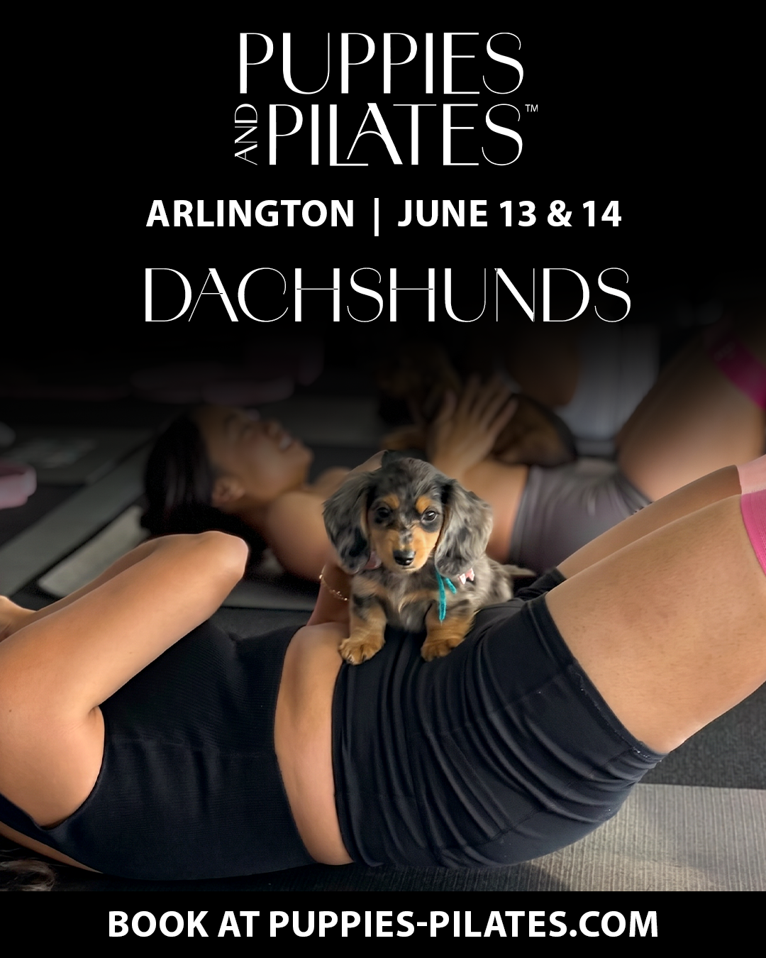 Puppies and Pilates - Arlington VA