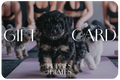 Puppies And Pilates Gift Card