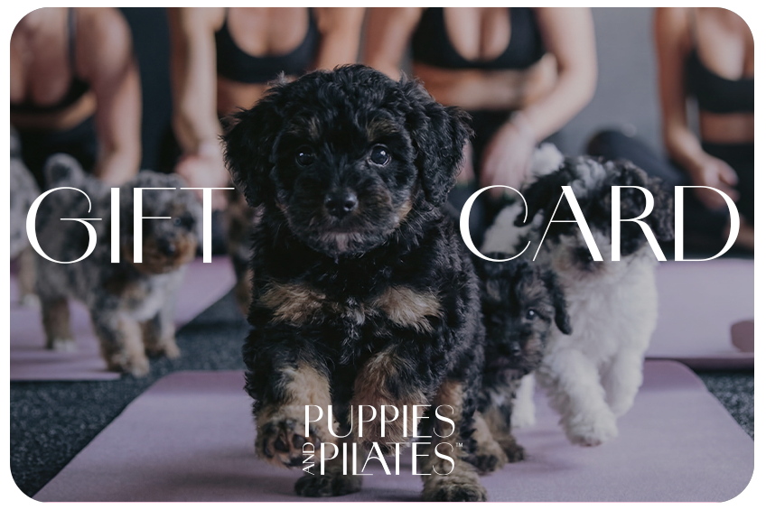Puppies And Pilates Gift Card