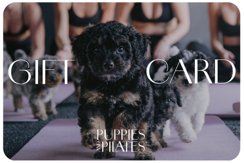 Puppies And Pilates Gift Card
