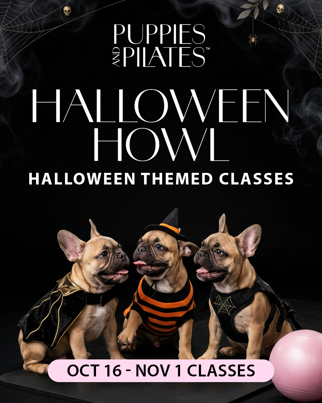 Puppies and Pilates - Rehoboth Beach