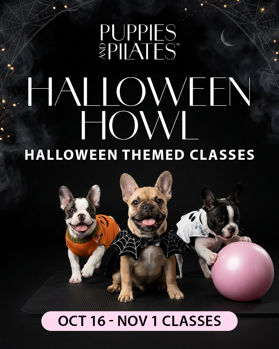Puppies and Pilates - Rehoboth Beach