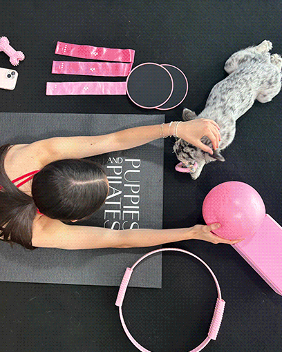 Puppies and Pilates - Arlington VA