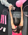 Puppies and Pilates - Arlington VA