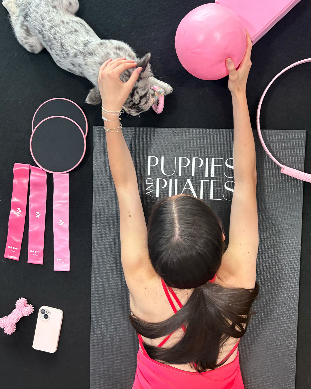 Puppies and Pilates - Arlington VA