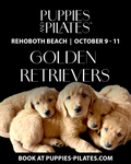 Puppies and Pilates - Rehoboth Beach