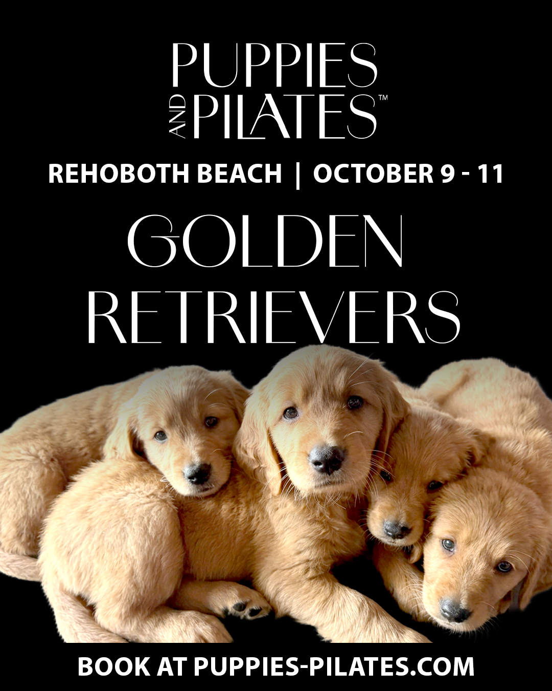 Puppies and Pilates - Rehoboth Beach