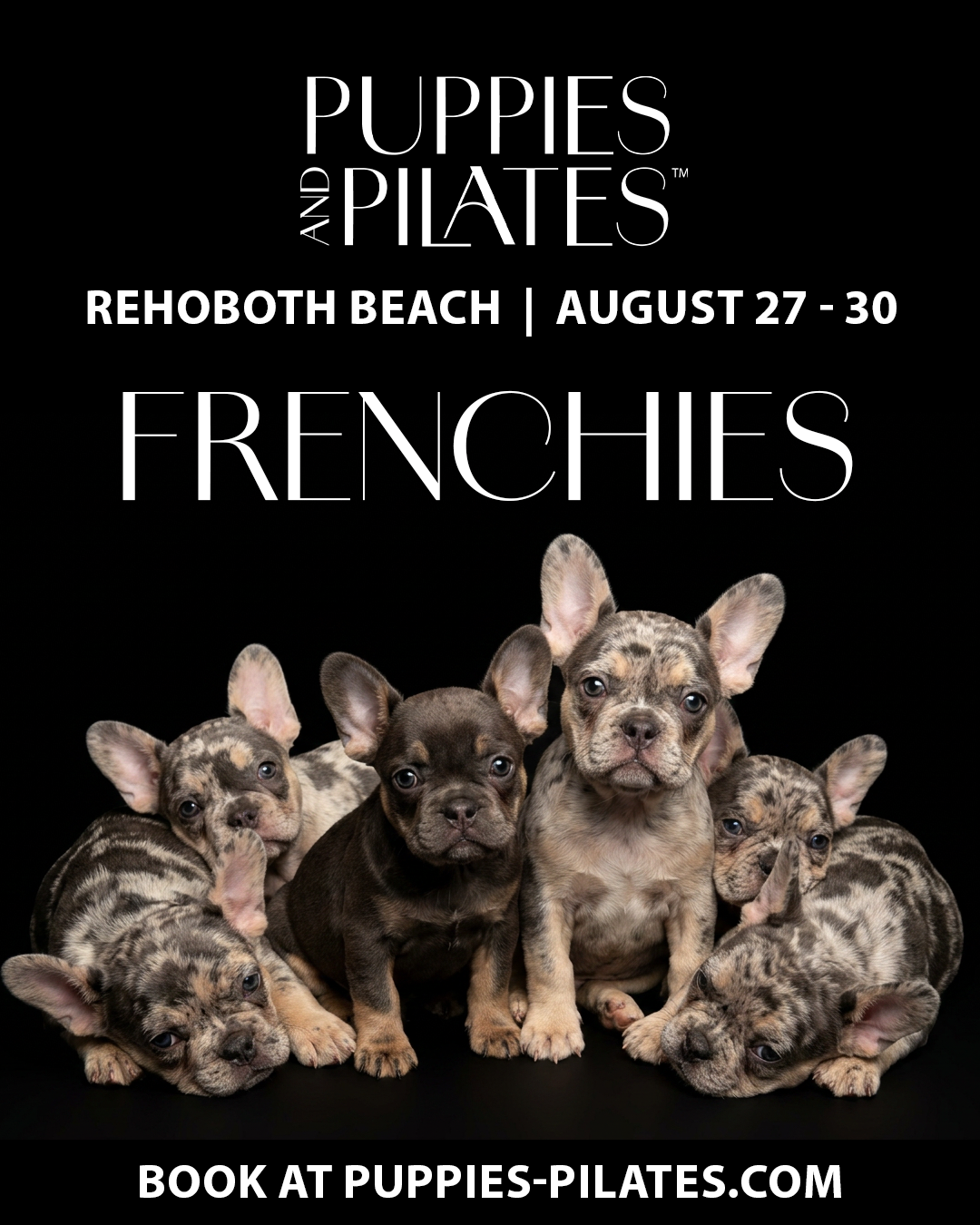 Puppies and Pilates - Rehoboth Beach
