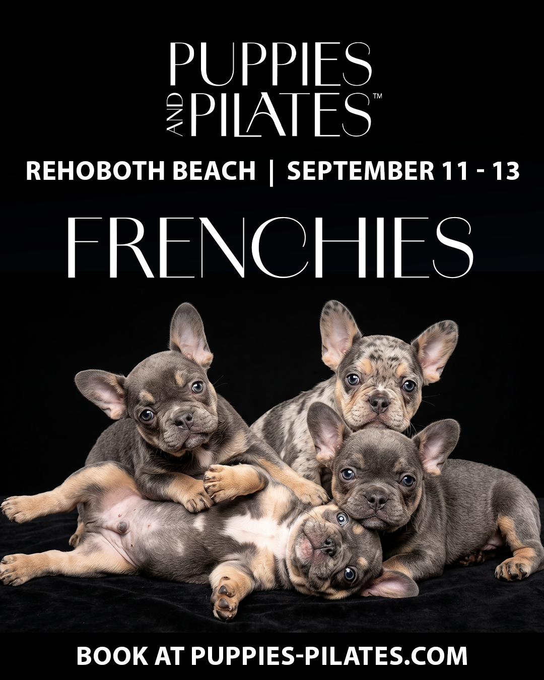 Puppies and Pilates - Rehoboth Beach