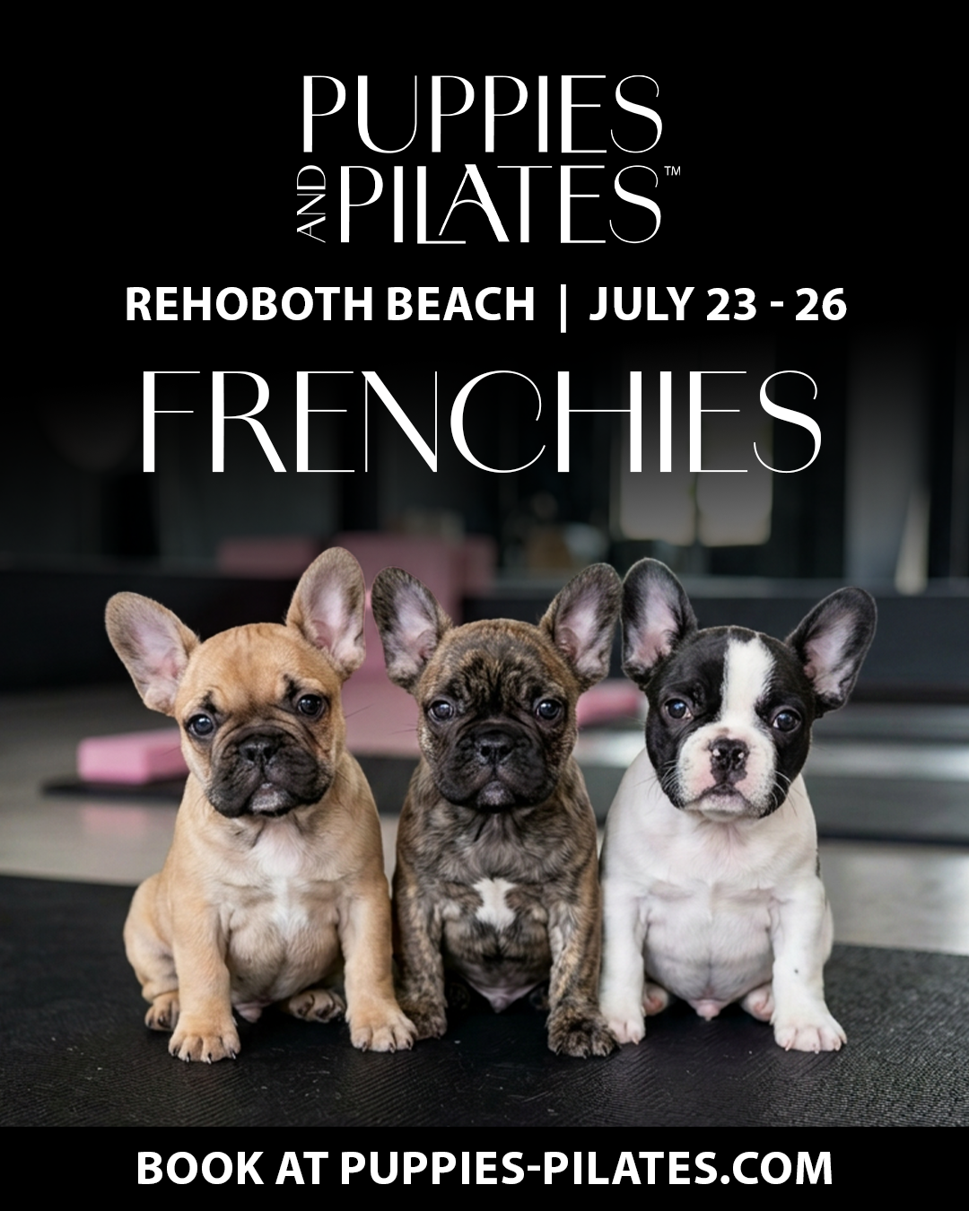 Puppies and Pilates - Rehoboth Beach