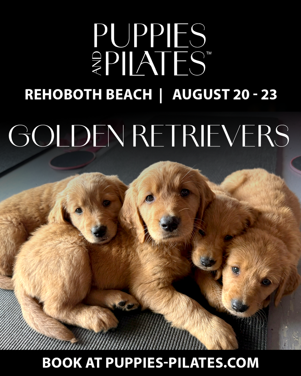 Puppies and Pilates - Rehoboth Beach