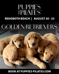 Puppies and Pilates - Rehoboth Beach