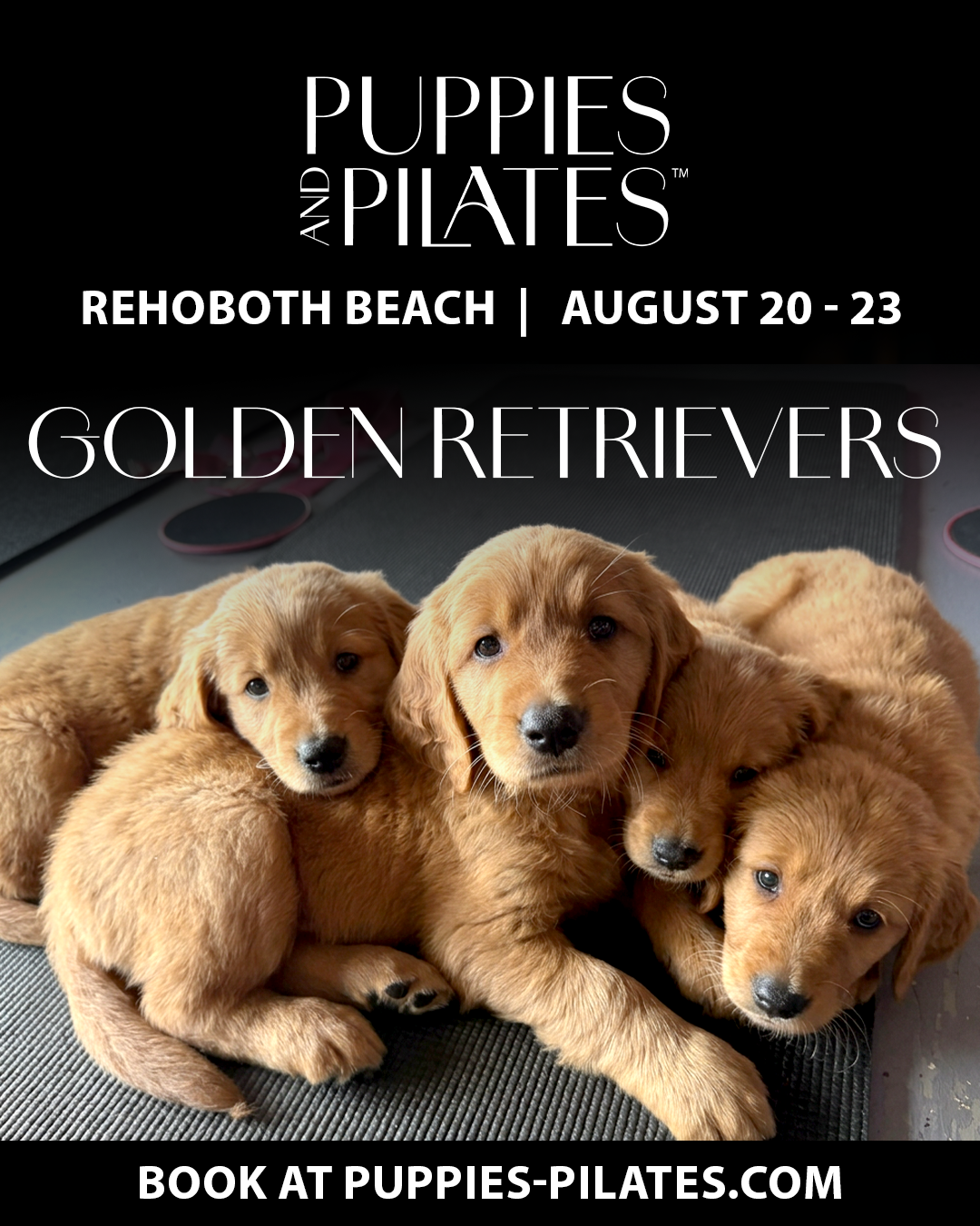 Puppies and Pilates - Rehoboth Beach