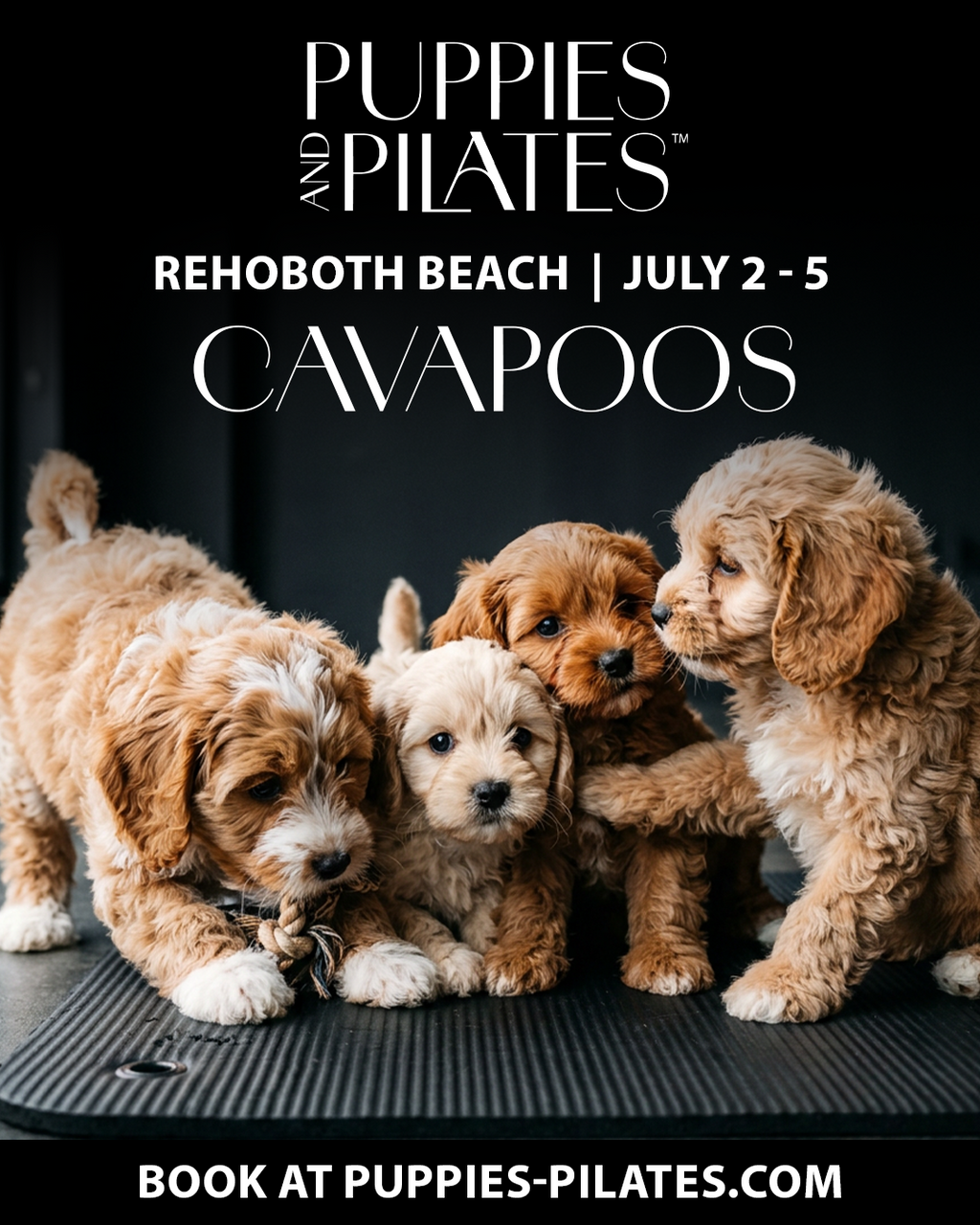 Puppies and Pilates - Rehoboth Beach