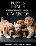 Puppies and Pilates - Rehoboth Beach