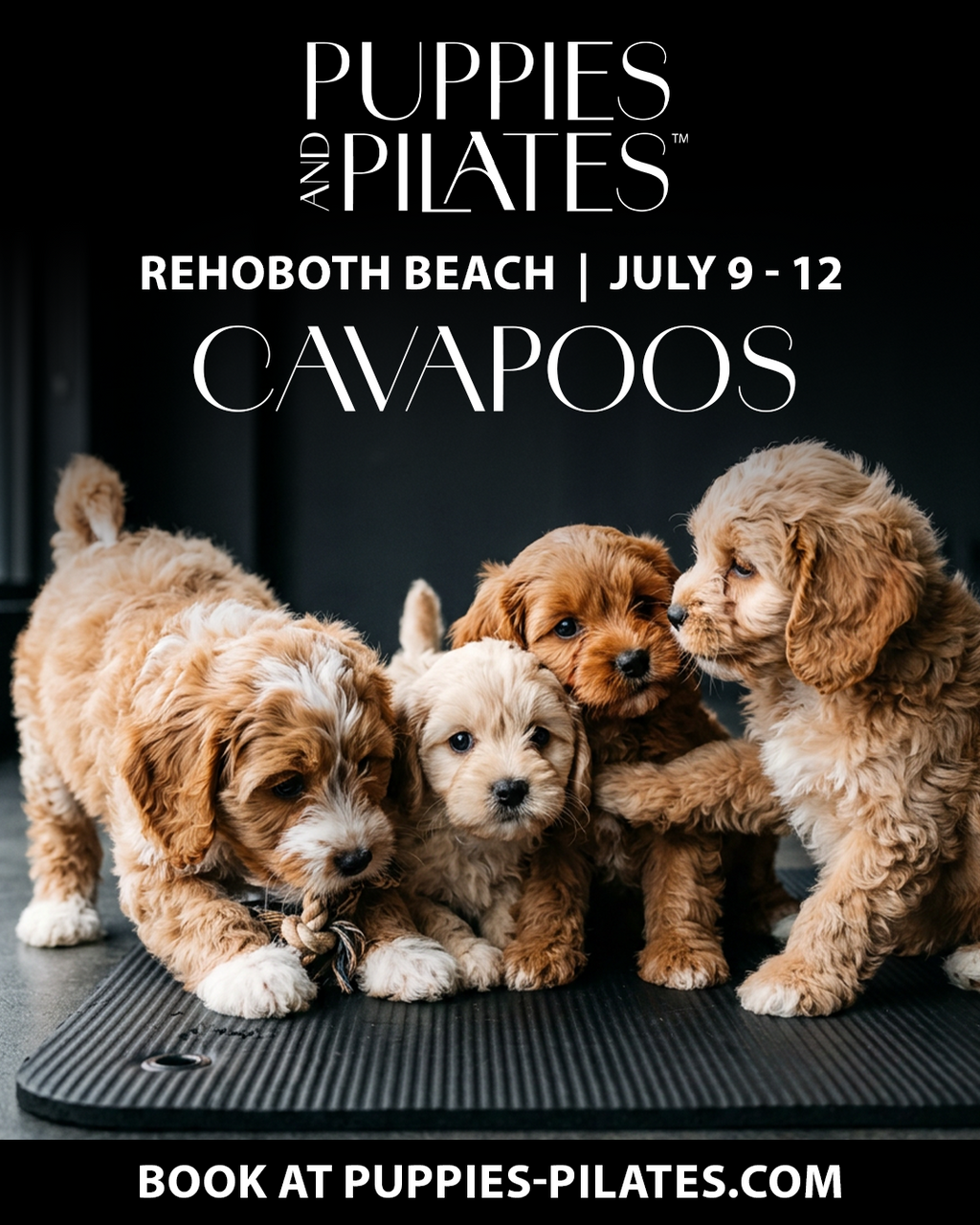 Puppies and Pilates - Rehoboth Beach