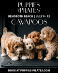 Puppies and Pilates - Rehoboth Beach