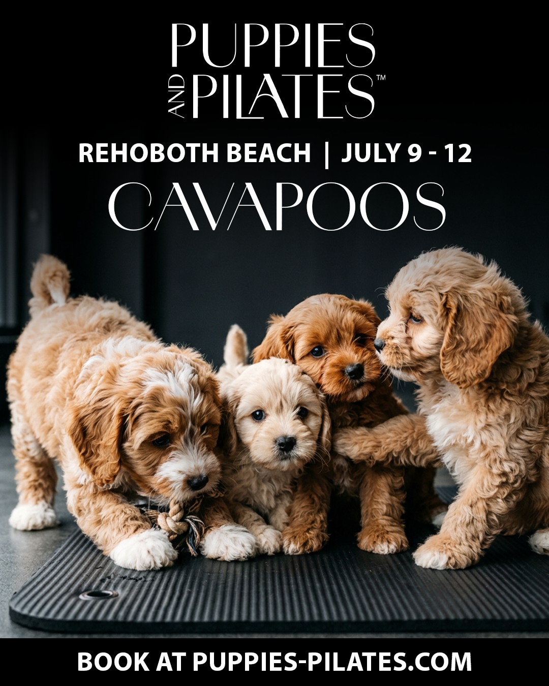 Puppies and Pilates - Rehoboth Beach
